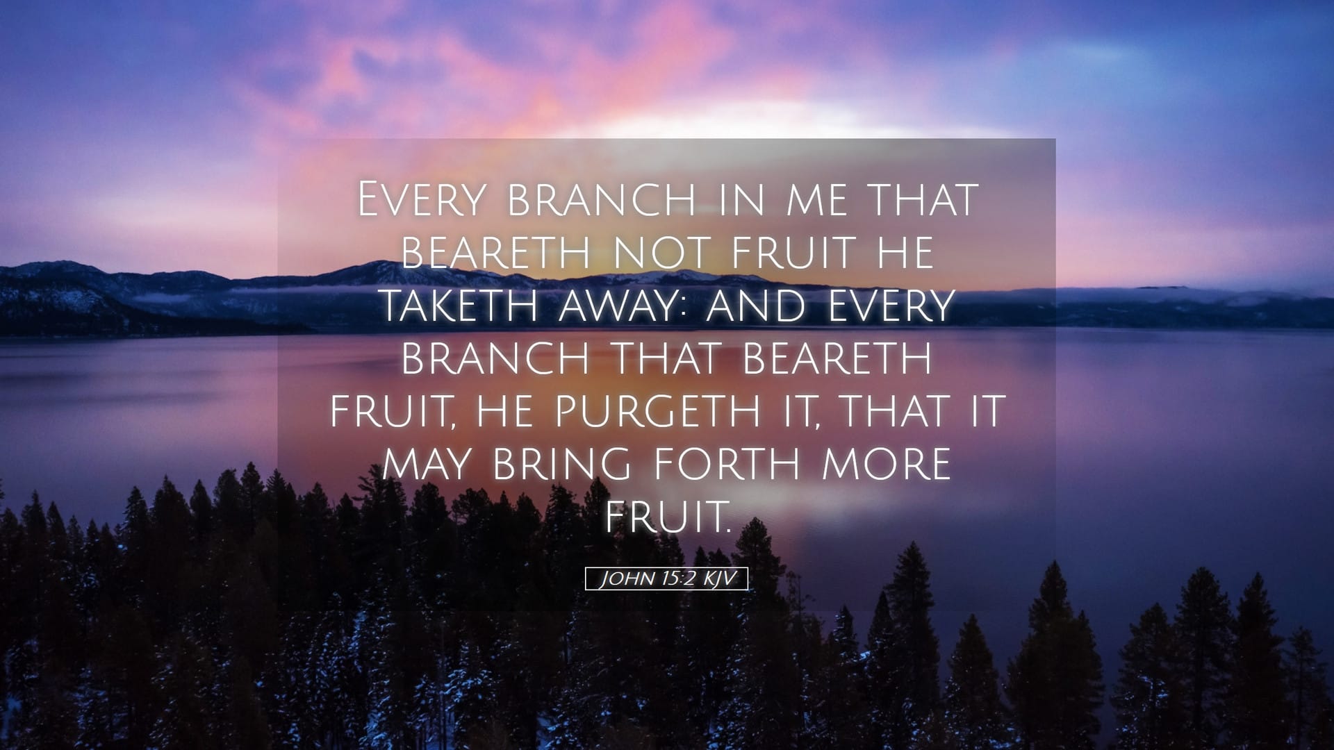 The Seed Among Thorns