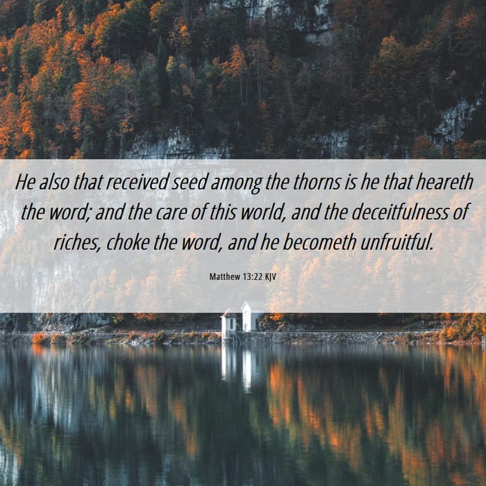 The Seed Among Thorns