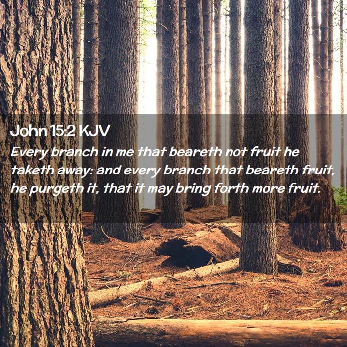 The Seed Among Thorns