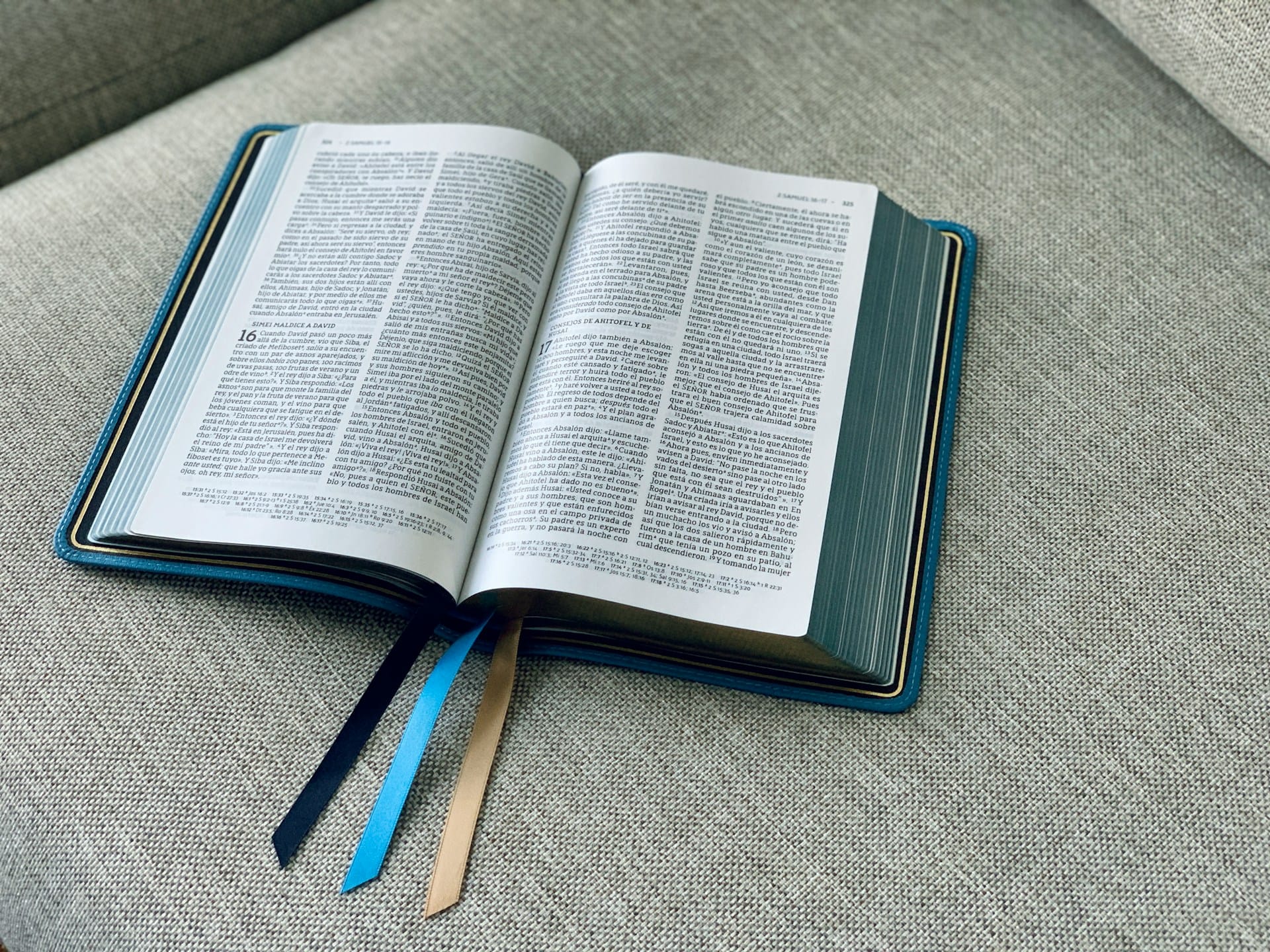 Bible Study: Love Beyond the World