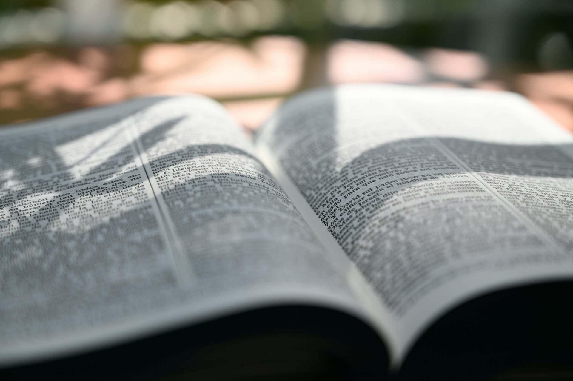 Bible Study: Love as Our Guiding Principle