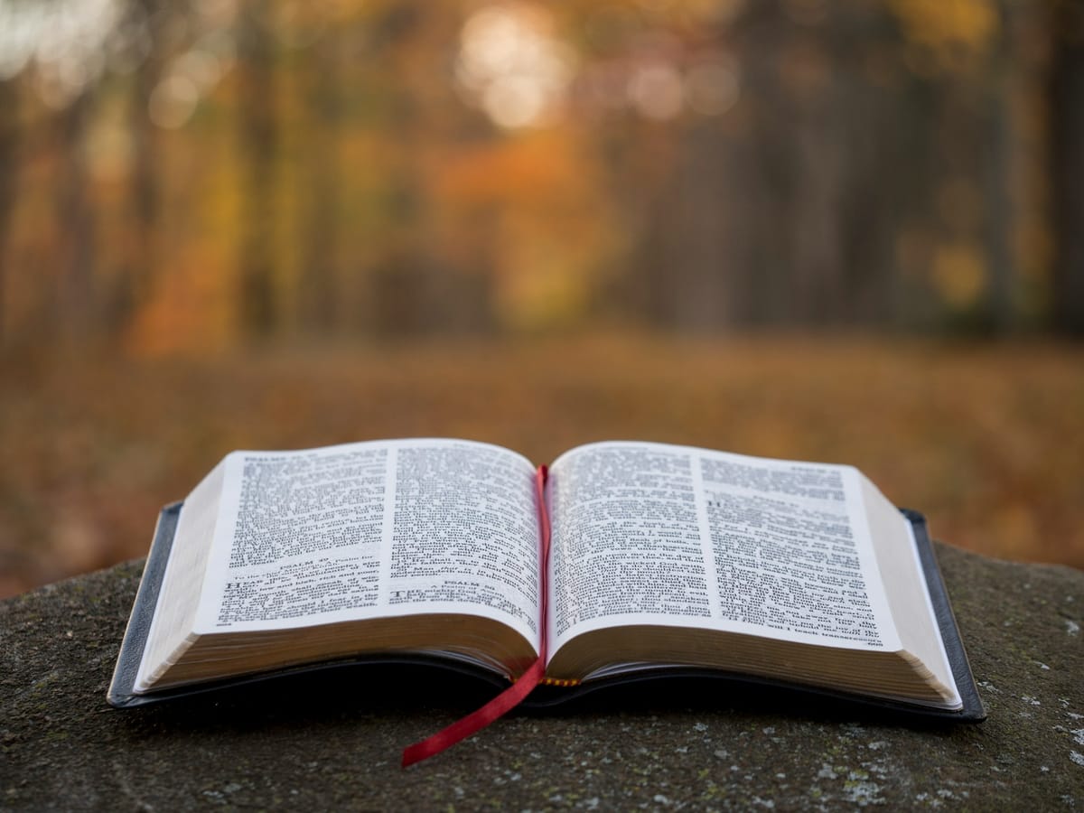 Bible Study: The Lord is My Shepherd