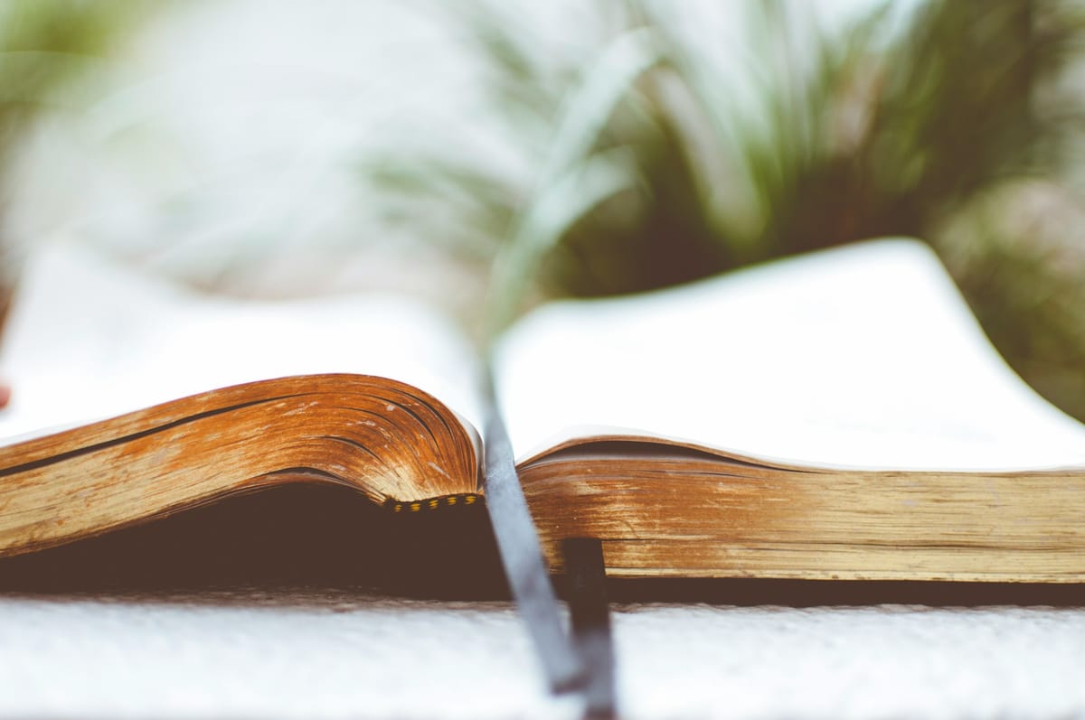 Bible Study: The Wisdom of Restraint