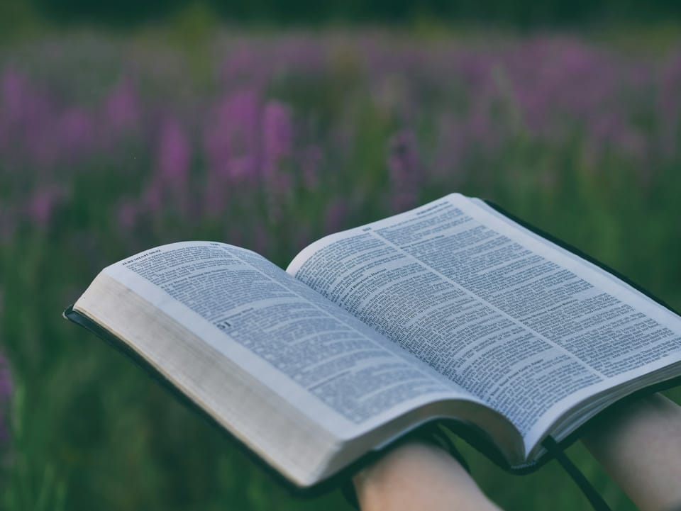 Bible Study: Trusting in Wisdom Over Self