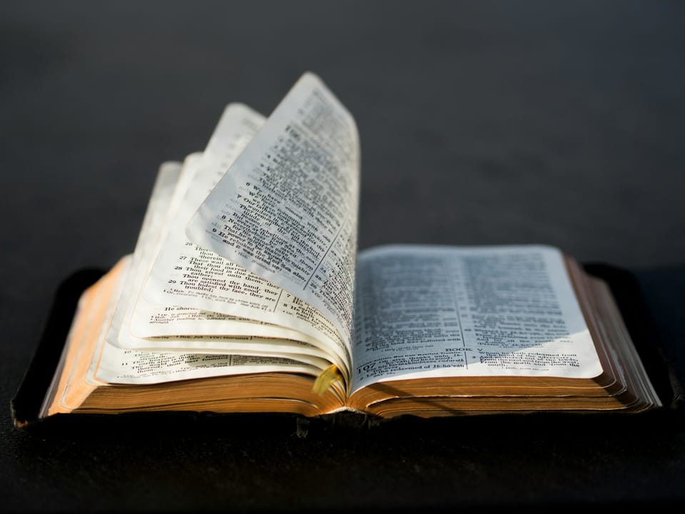 Bible Study: The True Cost of Gain